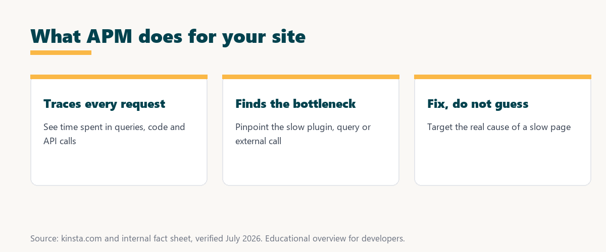 what apm does: it traces every request, finds the bottleneck plugin or query, and helps you fix rather than guess