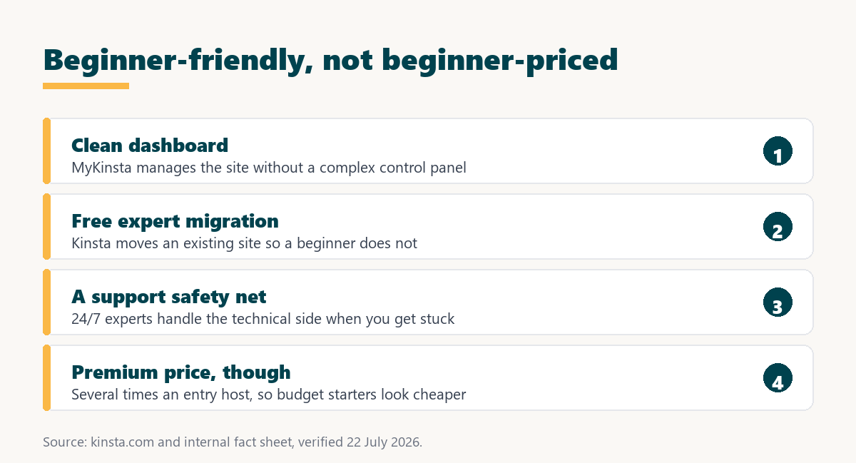 kinsta for beginners: easy to use but not the cheapest way to start