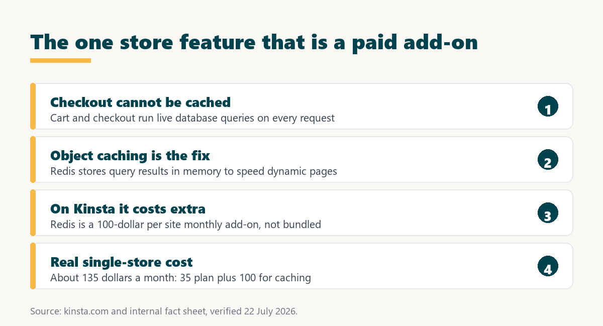 kinsta for woocommerce: object caching is the feature that helps a store, at 100 dollars a month