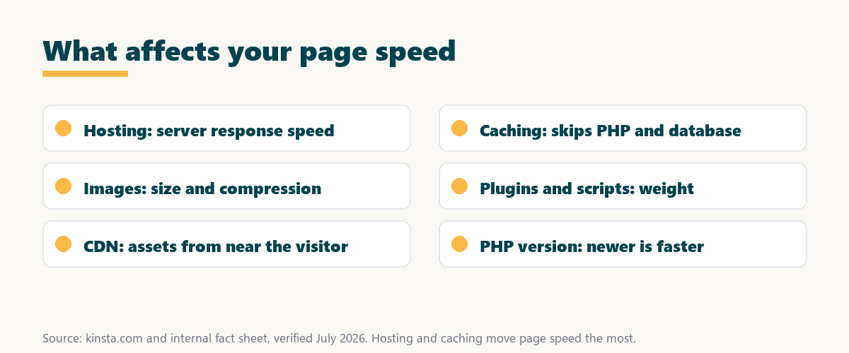 what affects page speed: hosting, caching, images, plugins and scripts, a CDN, and the PHP version