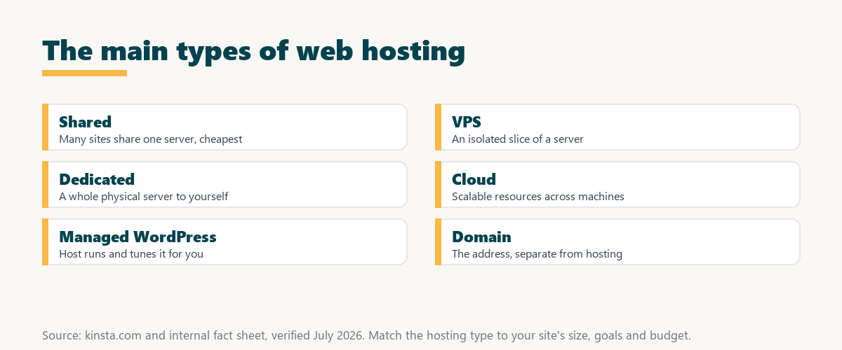 what is web hosting: shared, VPS, dedicated, cloud and managed WordPress hosting types, with domain shown as a separate address